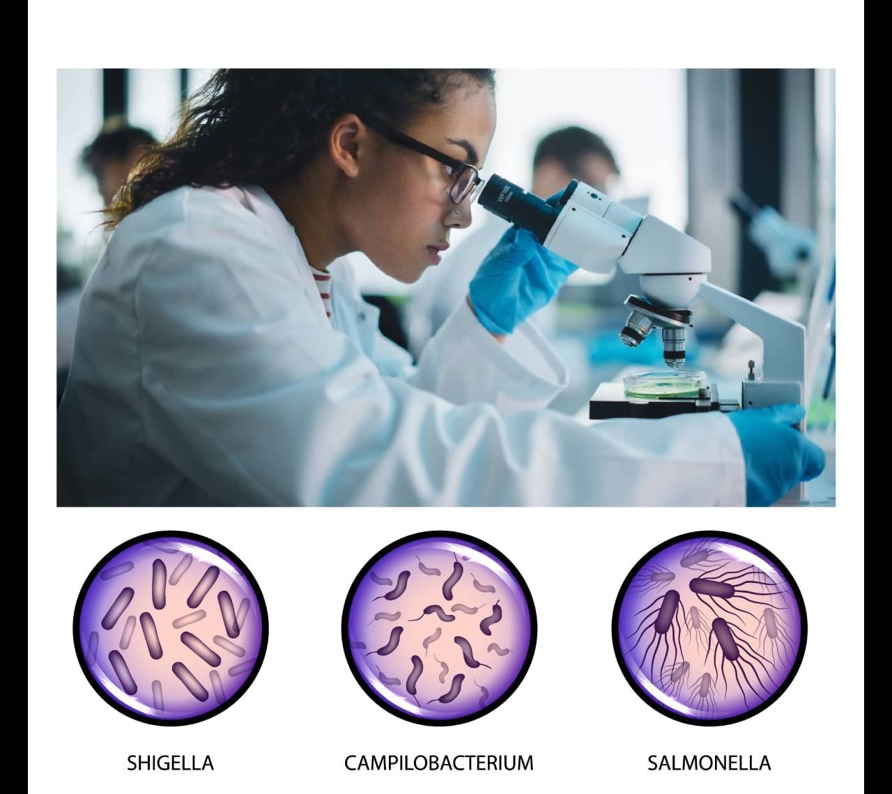 A scientist looking through a microscope. Below the photo are close-up illustrations of Shigella, Campylobacter, and Salmonella bacteria.