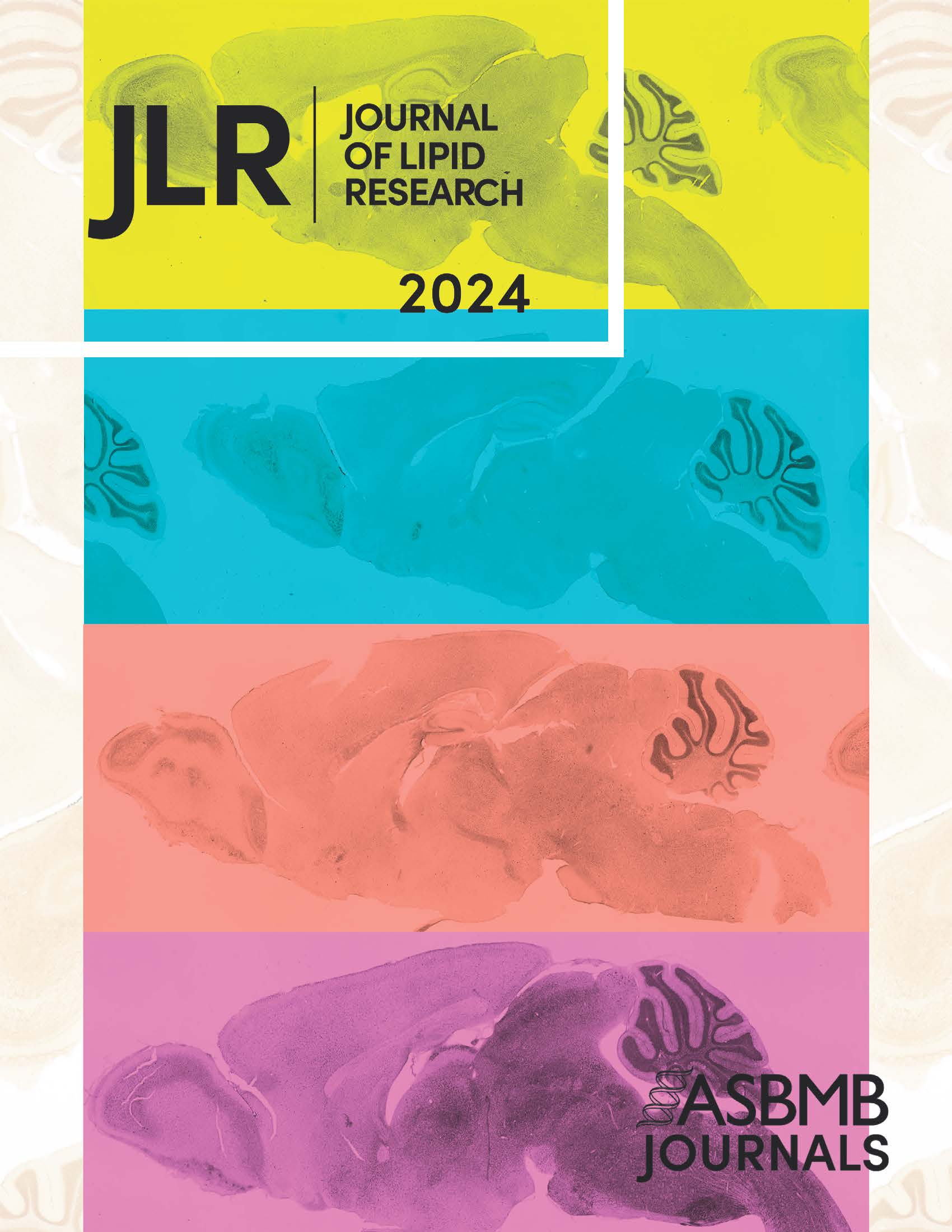 2024 cover of the Journal of Lipid Research.