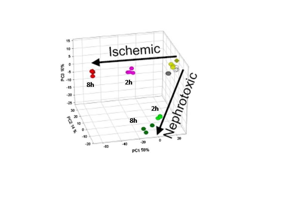 PCA trajectories.