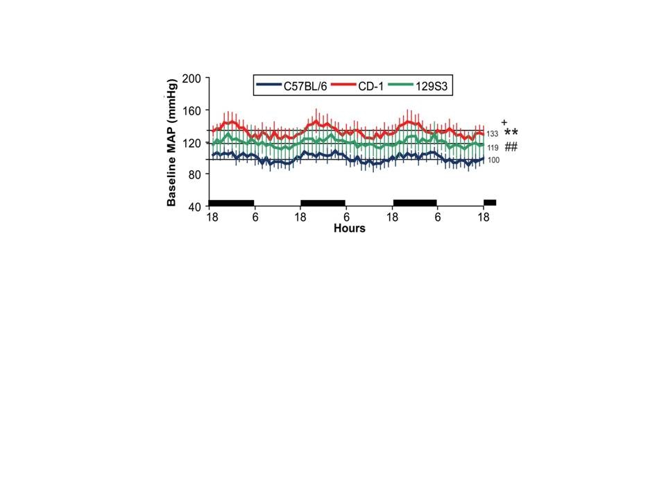 Graph depicting Telemetry blood pressure.
