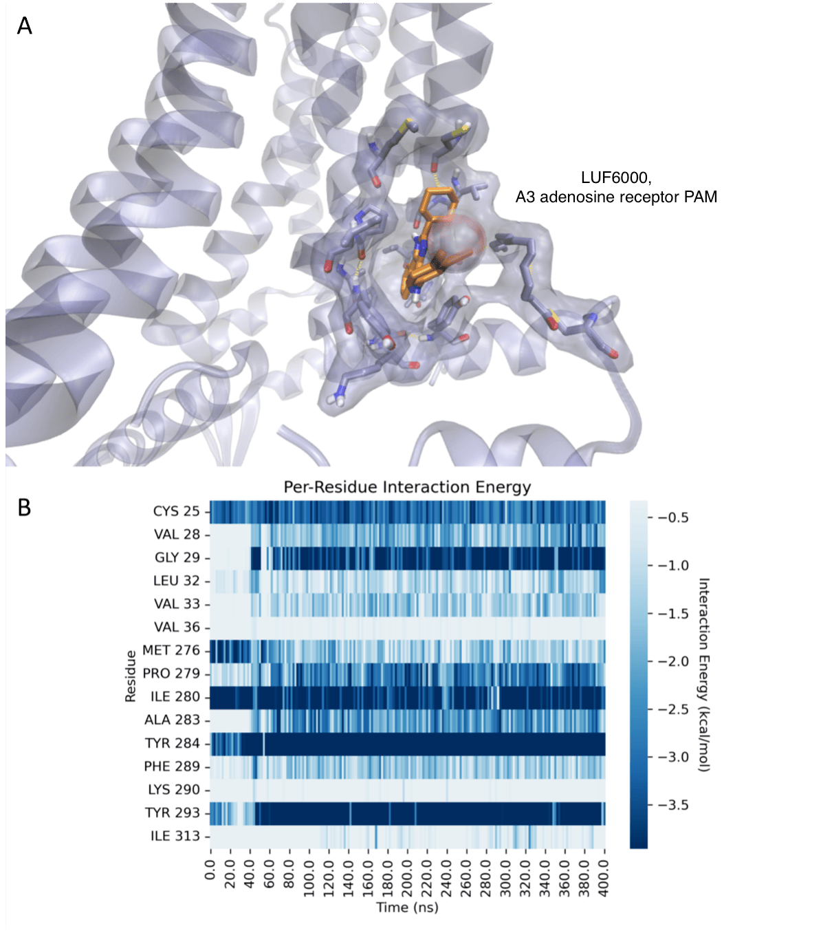 Binding model of allosteric enhance LUF6000 at the A3 adenosine receptor.