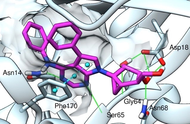 Induced fit docking of NIDDK-invented inhibitor MRS4203 in active site of human adenosine kinase