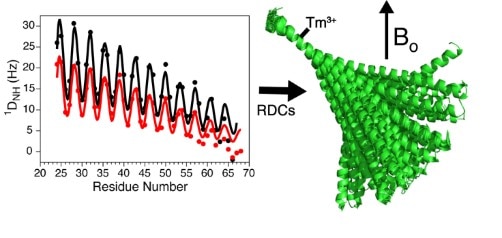 Structural ensemble sampled by single alpha-helical domains.